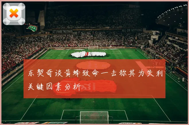 东契奇谈黄蜂致命一击称其为失利关键因素分析