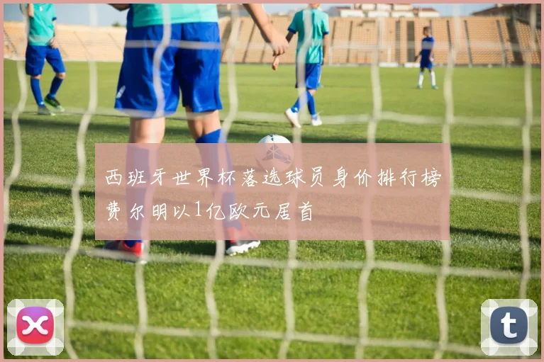 西班牙世界杯落选球员身价排行榜费尔明以1亿欧元居首